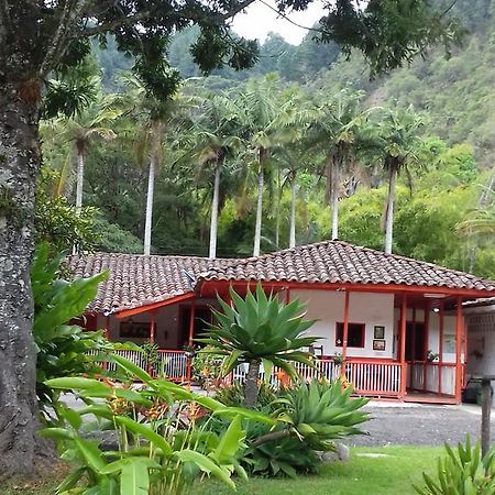 Hostal Rio Arabia - Valle De Cocora Hotel Salento Exterior foto