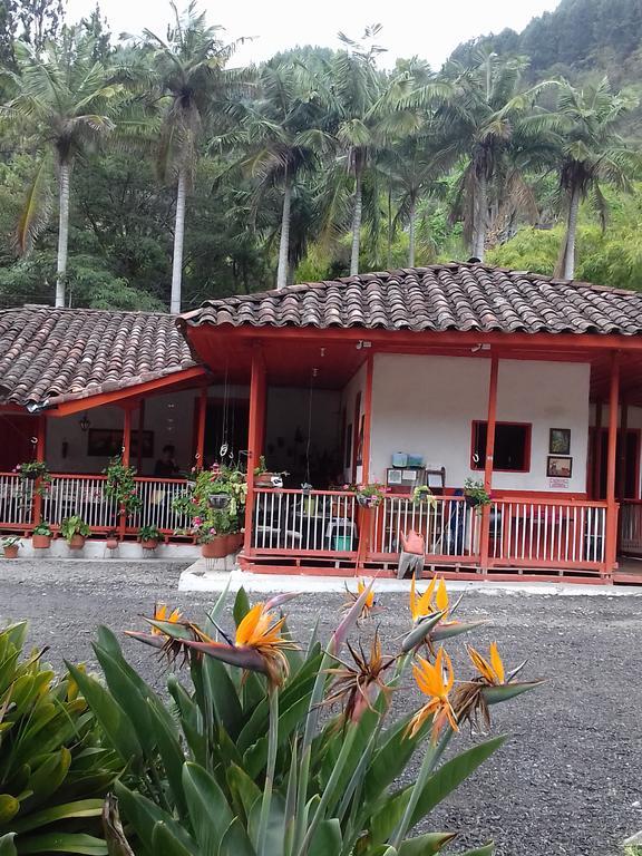 Hostal Rio Arabia - Valle De Cocora Hotel Salento Exterior foto