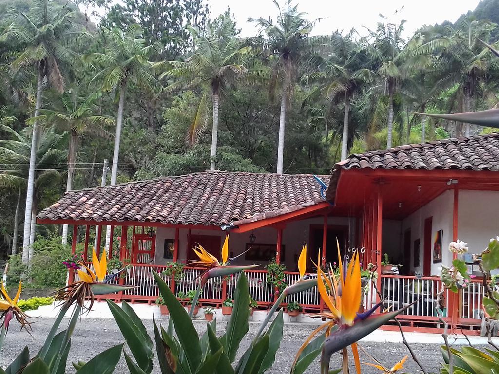 Hostal Rio Arabia - Valle De Cocora Hotel Salento Exterior foto